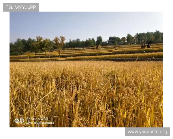 逐水捕鱼欢乐行,畅享自然美景与丰收喜悦 逐水捕鱼欢乐行,畅享自然美景与丰收喜悦