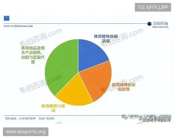 IM体育全新赛事解析与未来发展趋势深度盘点
